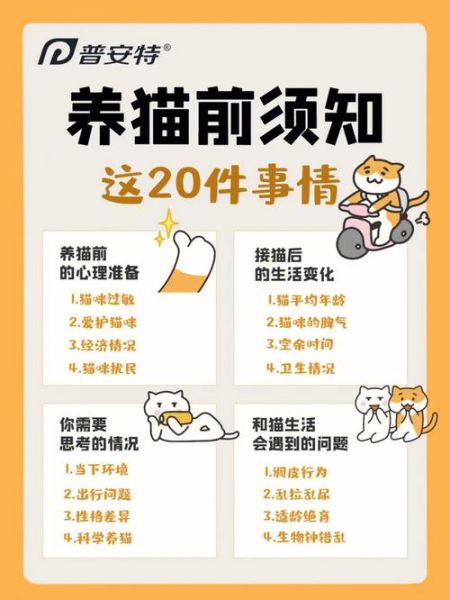收养流浪猫(你做好心理准备了吗)