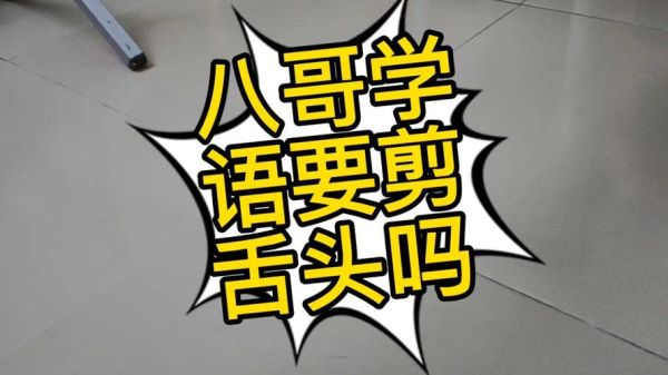 教八哥说话(教你用最简单的方法教会八哥说话)