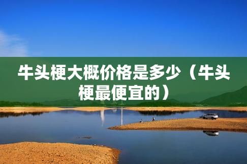 斗牛梗( 价格贵吗)