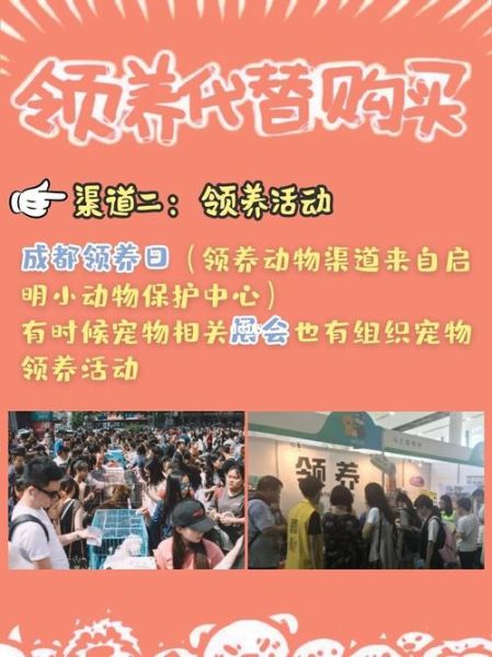 无锡宠物领养(靠谱的领养渠道有哪些)