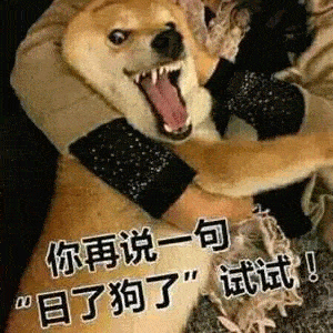 日狗是一种怎样的体验(真的有人会这么做吗)