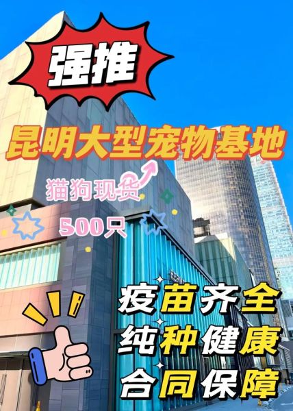 昆明宠物网(哪家宠物网最靠谱)