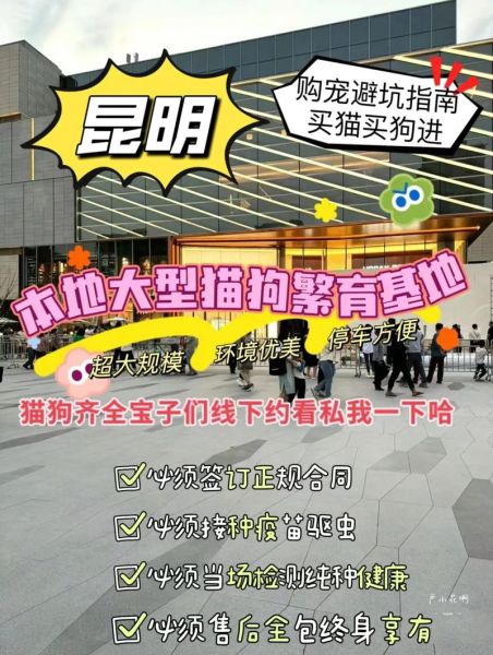 昆明宠物网(哪家宠物网最靠谱)