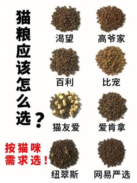 最近猫猫在吃的猫粮(到底适不适合你的猫咪)