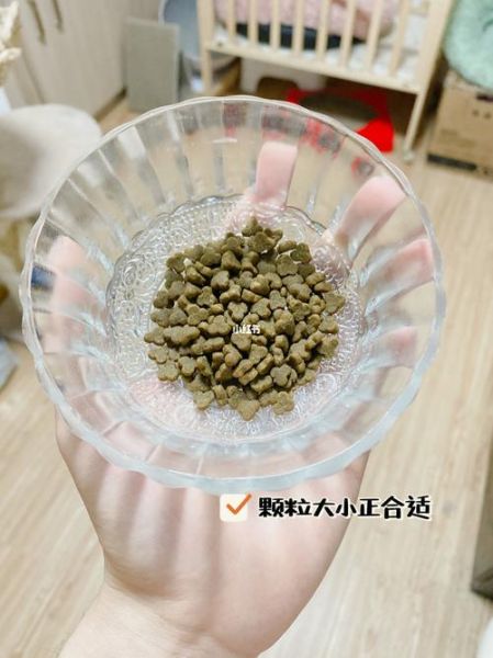 有鱼猫粮(我家猫会喜欢吗)