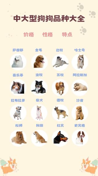 杜宾犬舍(哪些地方值得关注)