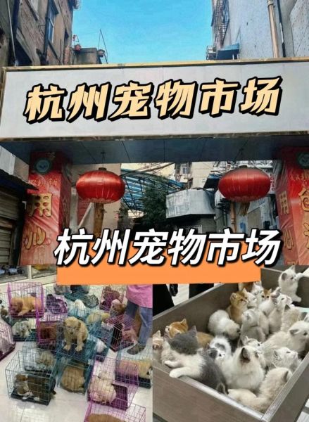 杭州宠物用品批发市场(杭州宠物用品批发市场靠谱吗)