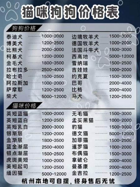 杭州宠物用品批发市场(杭州宠物用品批发市场靠谱吗)