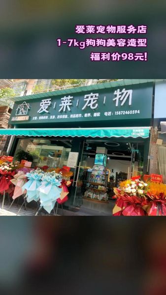 杭州宠物美容团购(团购更省钱吗)