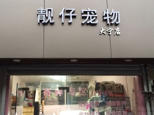 杭州宠物美容团购(团购更省钱吗)