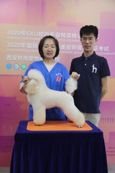 杭州宠物美容培训(CKU授权的靠谱吗)