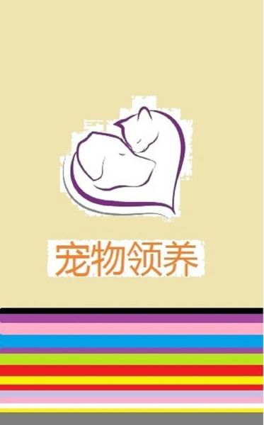 杭州宠物领养(如何才能领养到心仪的宠物)
