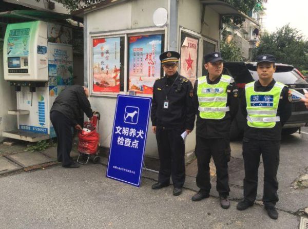 杭州打狗( 谁又在掩盖真相)