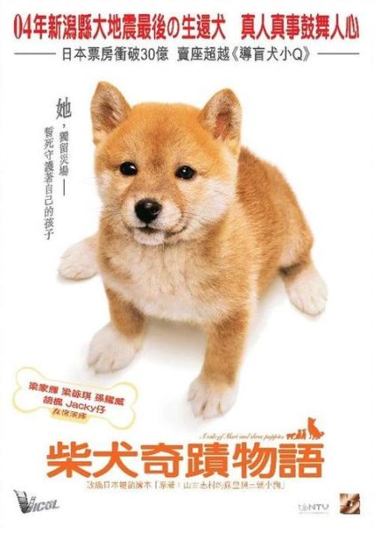 柴犬奇迹物语高清( 这部电影的主题是什么)
