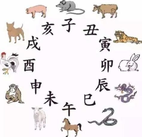 桃花初开是什么生肖(生肖鼠还是生肖猪)