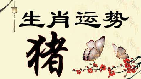 桃花初开是什么生肖(生肖鼠还是生肖猪)