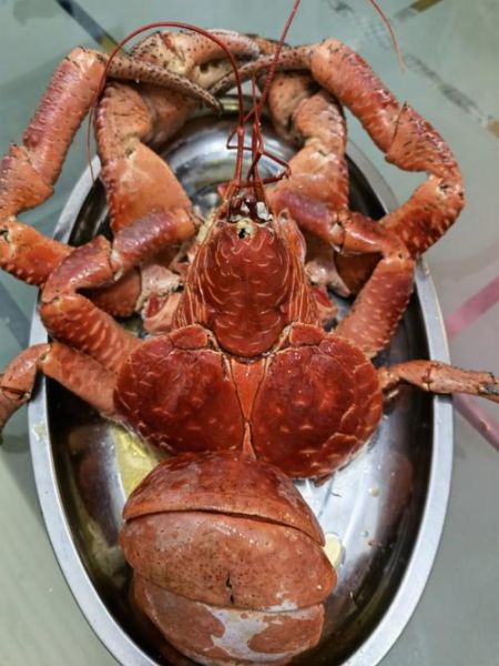 椰子蟹能吃吗( 800一斤的椰子蟹味道怎么样)