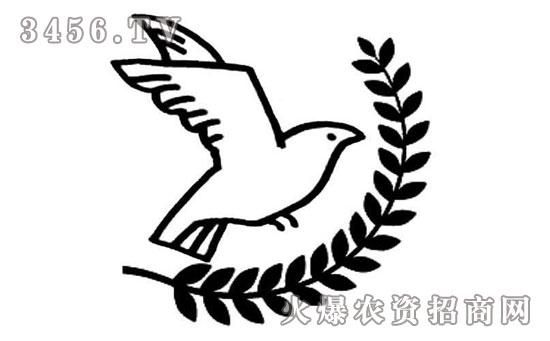 橄榄枝的象征意义(为什么它能代表希望)