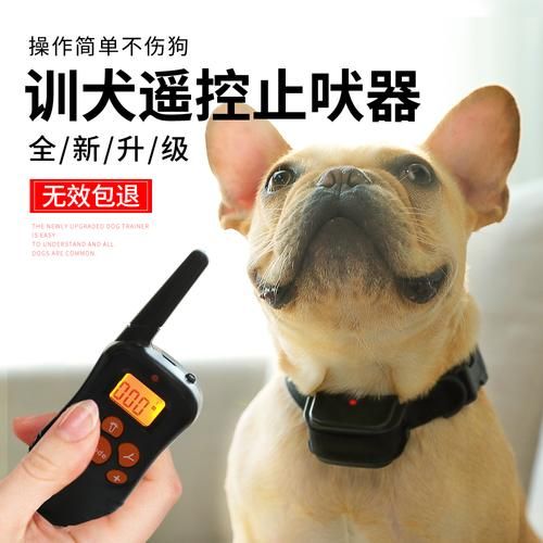 止吠器( 止吠器是解决狗狗吠叫的最佳选择吗)