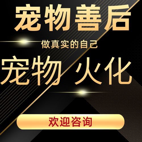 武汉宠物(你会选择火化吗)