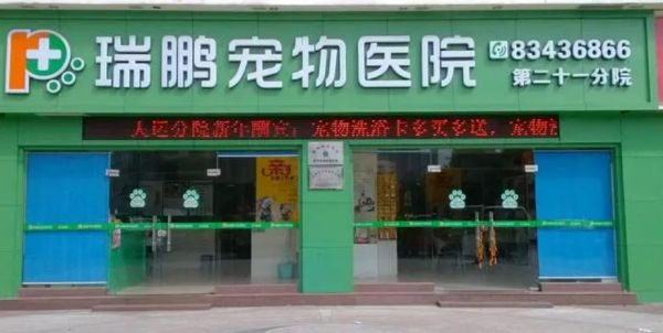 武汉宠物医院(哪个医院服务更好)
