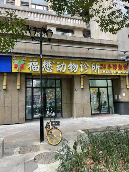 武汉宠物医院(哪个医院服务更好)
