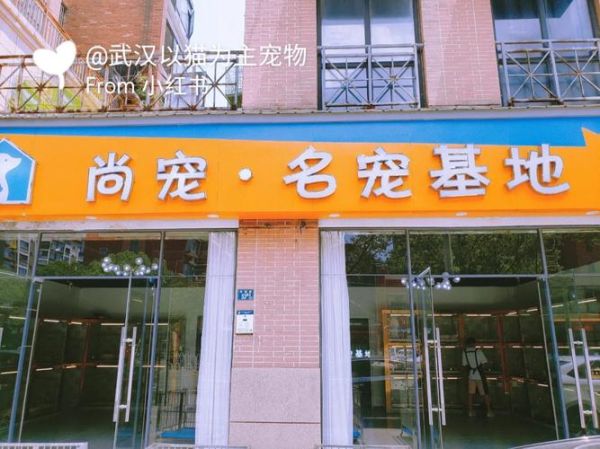 武汉宠物网(有哪些地方不能去)
