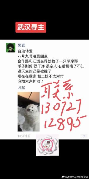 武汉宠物论坛(你最关注哪个话题)
