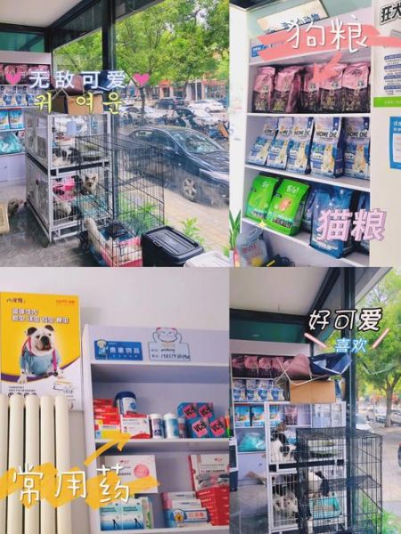 武汉宠物领养(是爱心还是交易)