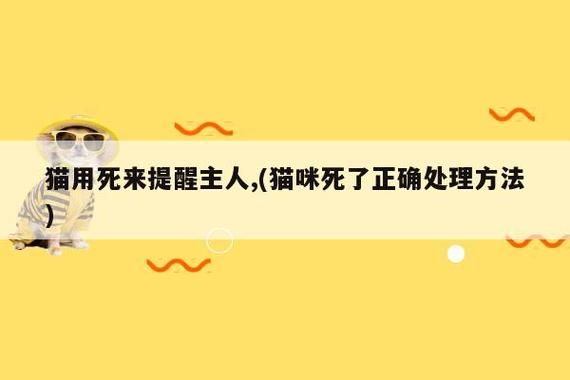 死猫(是不是预示着什么不好的事)