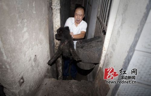 母狗生殖器(应该如何护理)