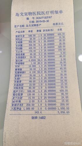 母猫绝育价格(哪家医院最划算)