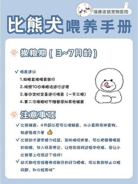 比熊狗(怎么才能让它活得更久)