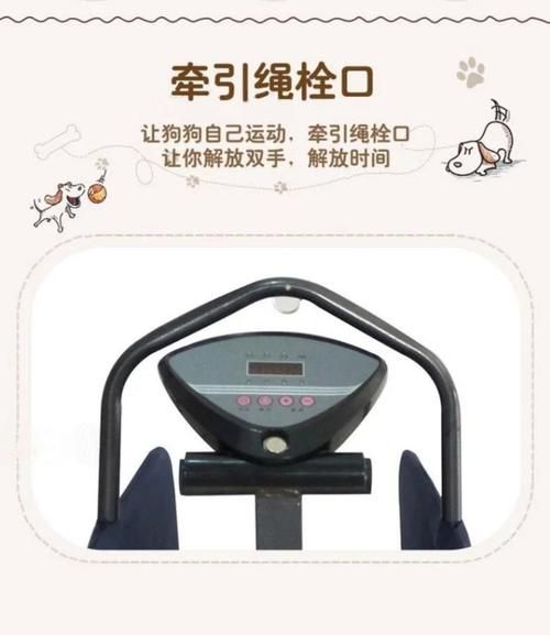 比特犬跑步机(它们会喜欢吗)