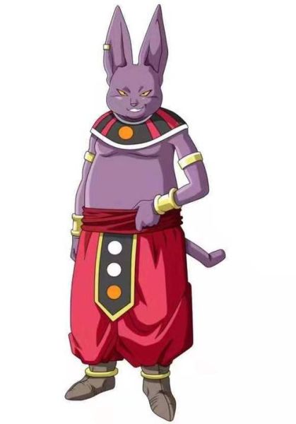 比鲁斯猫( 龙珠里的破坏神原来是宠物)