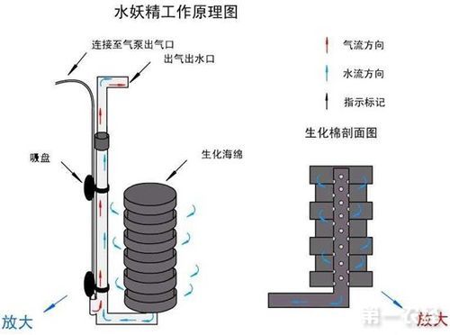 水妖精的作用(它能解决所有鱼缸问题吗)