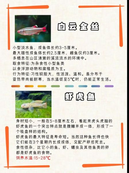 水族论坛(哪个论坛更适合新手)