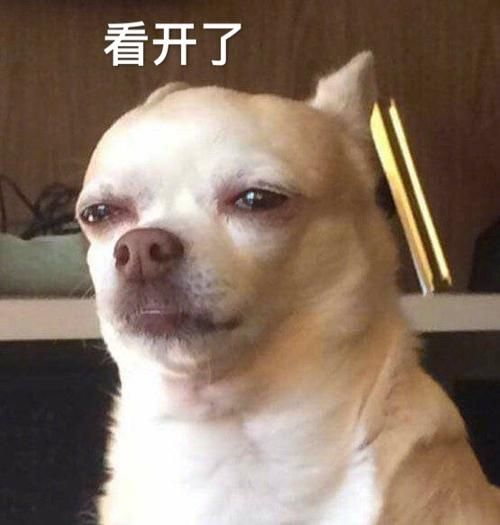 汪星人是什么意思( 你站哪一边)
