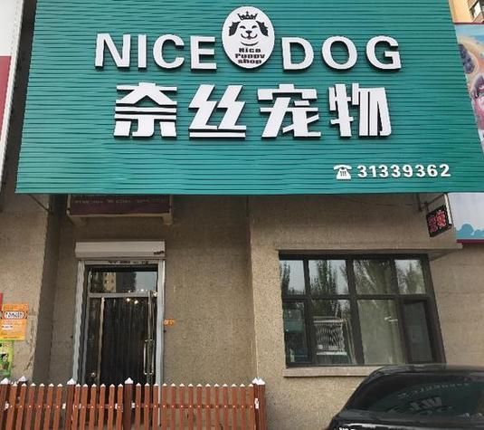 沈阳宠物交易网(沈阳宠物交易网值得一去吗)