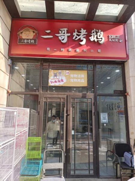 沈阳宠物交易网(沈阳宠物交易网值得一去吗)