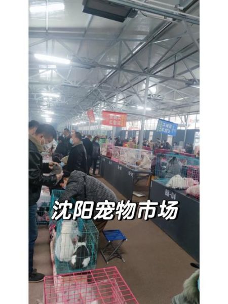 沈阳宠物用品批发(价格有区别吗)