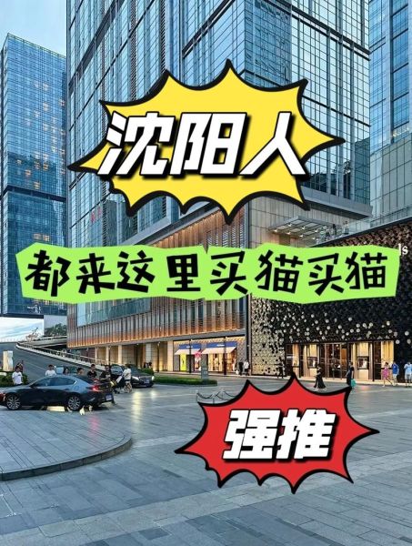 沈阳宠物网(沈阳宠物网靠谱吗)