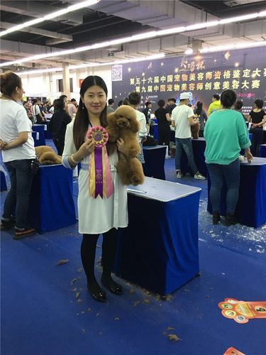 沈阳宠物美容学校(沈阳哪家学校能学到真本事)