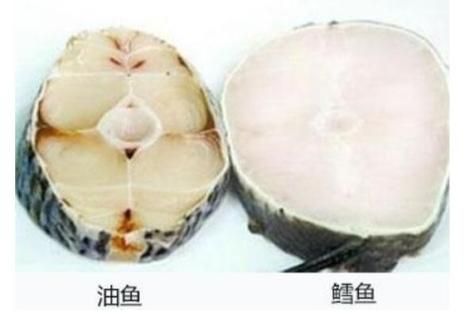 油鱼和鳕鱼的区别(到底谁才是真的白切)