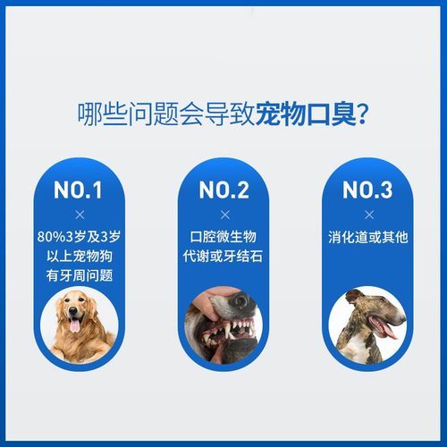 法国维克(苏州的高新区会因此受益吗)