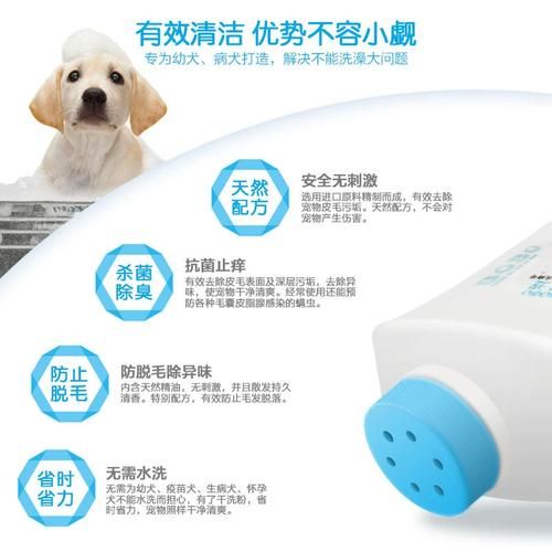 波波宠物用品有限公司(产品真的那么好)