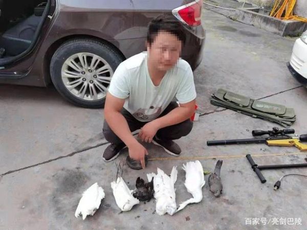 波索尔(现在还能捕猎吗)