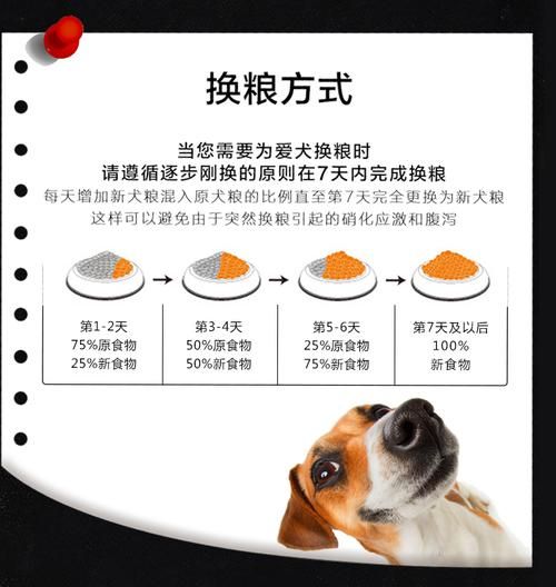 泰迪体臭(是换个狗粮还是洗个澡)