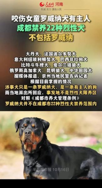 洛威犬(真的会随便咬人吗)