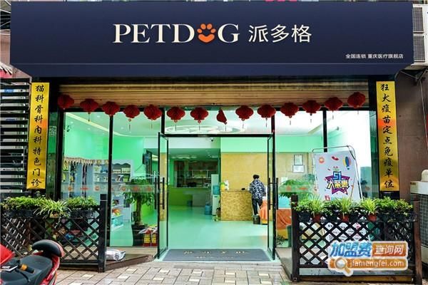 派多格(派多格加盟怎么样)